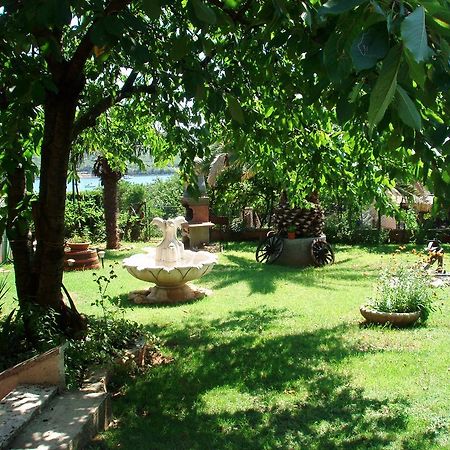 Apartments Petra Banjole Εξωτερικό φωτογραφία